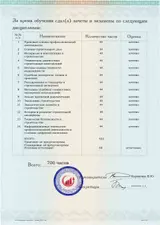 Образец документа