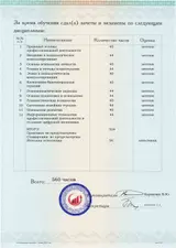 Образец документа