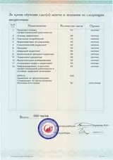 Образец документа