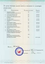 Образец документа