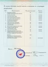 Образец документа