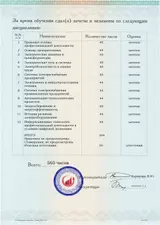 Образец документа