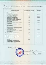 Образец документа