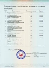 Образец документа