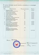 Образец документа