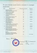 Образец документа