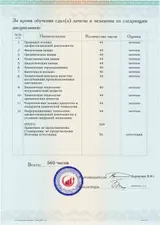 Образец документа