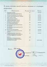 Образец документа