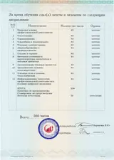 Образец документа