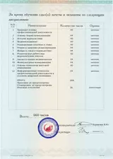 Образец документа