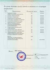 Образец документа