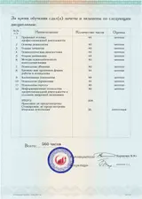 Образец документа