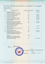 Образец документа