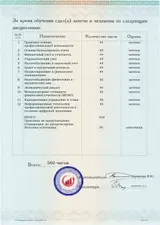 Образец документа