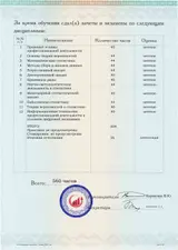 Образец документа