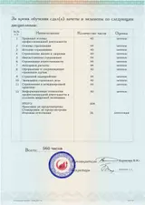 Образец документа